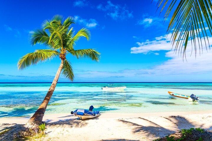 Escursione di un'intera giornata all'isola di Saona con pranzo da Punta Cana