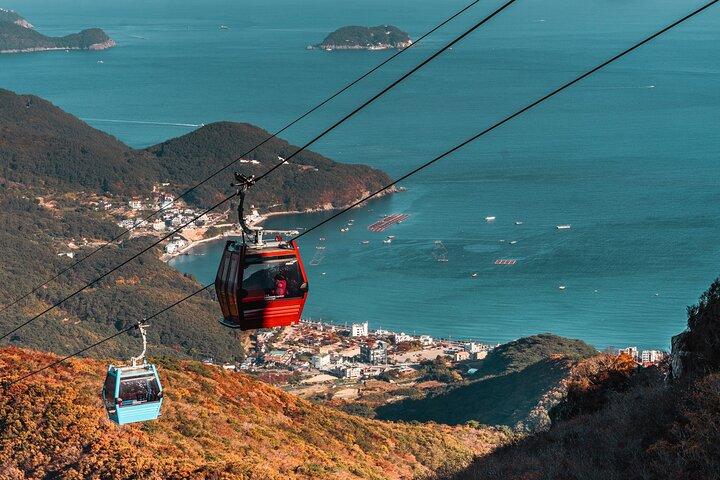 [Hotel pick-up] Oedo Botania Garden privédagtour vanuit Busan