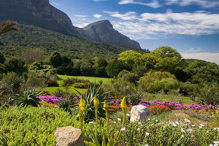 Explore Table Mountain, Kirstenbosch and Constantia Wineries Tour