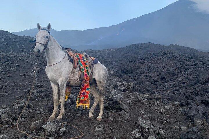 Puerto Quetzal Pacaya Vulkan Ausritt mit Lava Pizza