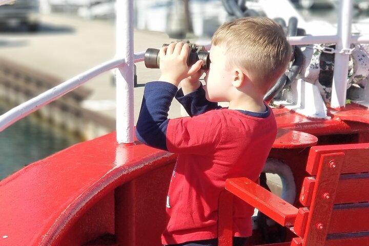 Historiska och arkitektoniska Chicago Fireboat River & Lake Cruise