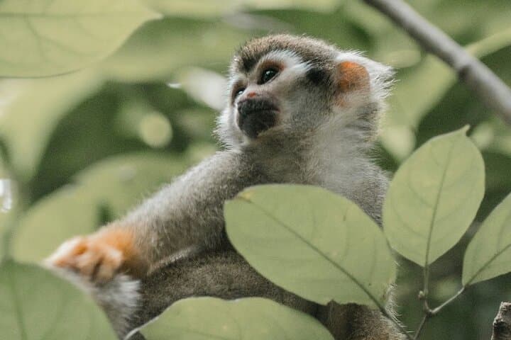 Wildlife and Ancient Expedition Tour in Teotihuacan Safari