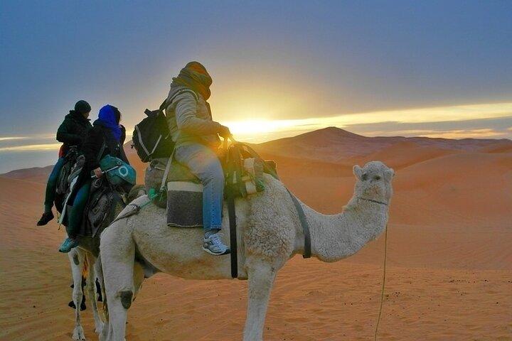 2 - Day Desert Tour fra Fes til Fes eller Marrakech med Camel Trek