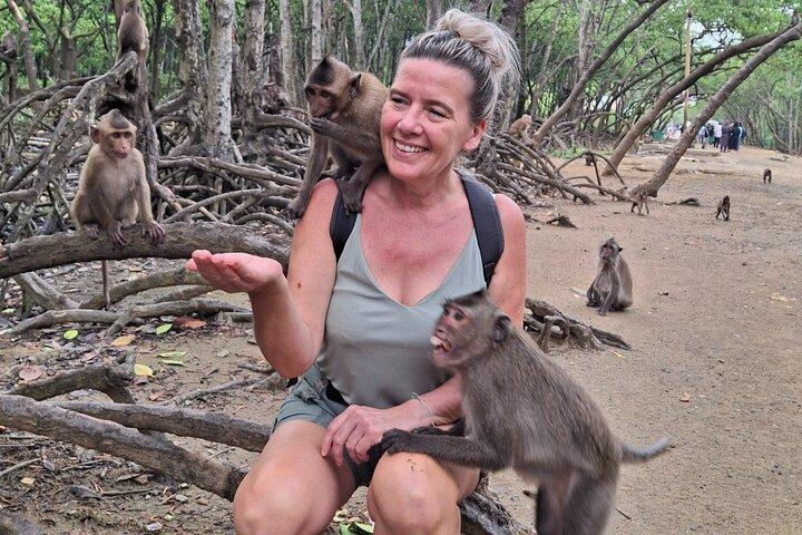 Excursão de dia inteiro à Ilha dos Macacos com canoa na floresta de mangue Can Gio