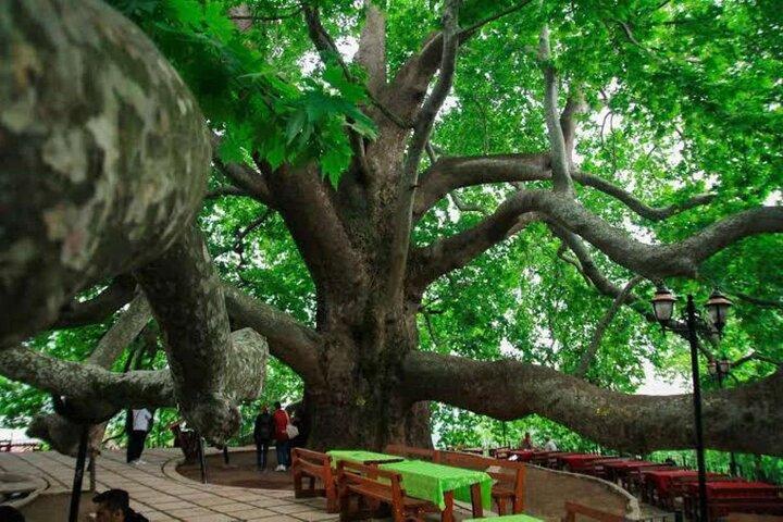Private Bursa and Uludag Tour from Istanbul