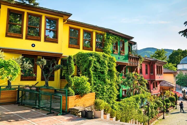 Green Bursa and Ottoman History Tour from Istanbul