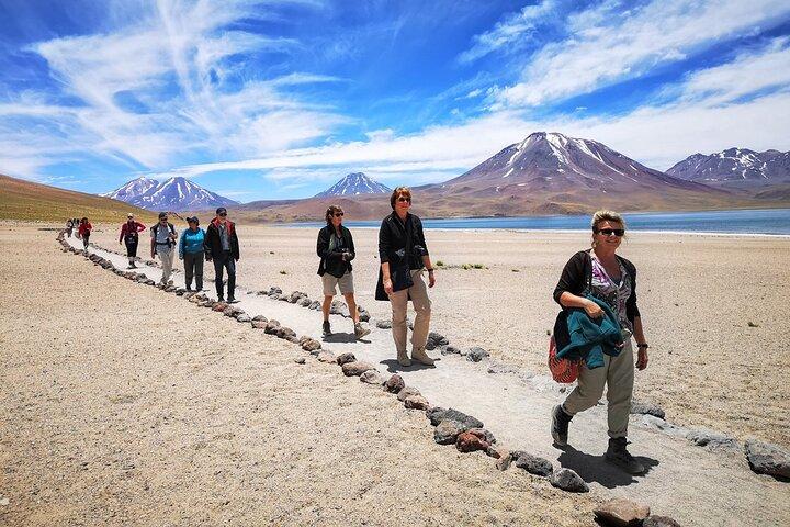 Full Day Tour Altiplanicas and Piedras Rojas Lagoon with Food