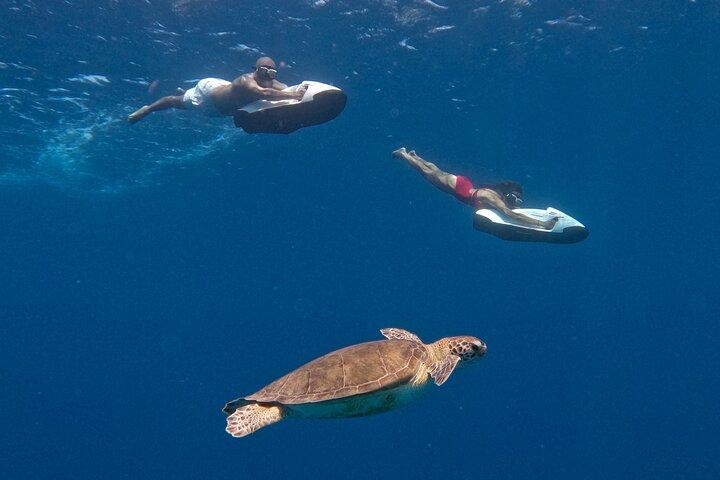 Seabob de Curazao en Playa Piskado Aventura con tortugas marinas