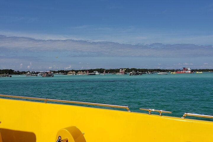 Hydro Rocket-Delfin-Sightseeing-Bootstour ab Destin