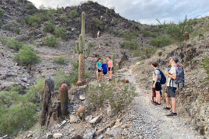 Caminata guiada de diversión familiar en Phoenix, Arizona | Niños de 10 años o menos gratis