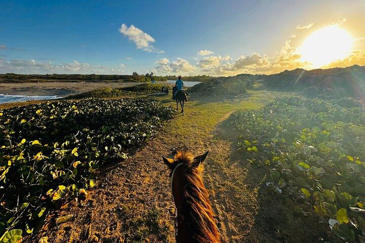 Sunset Horseback Ride på Macao Beach & Forest med överföringar