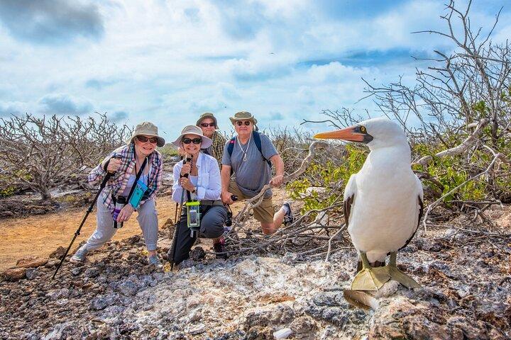 ISABELA II ISLANDS OF FIRE ADVENTURE NORTHEASTERN (Mon-Fri)