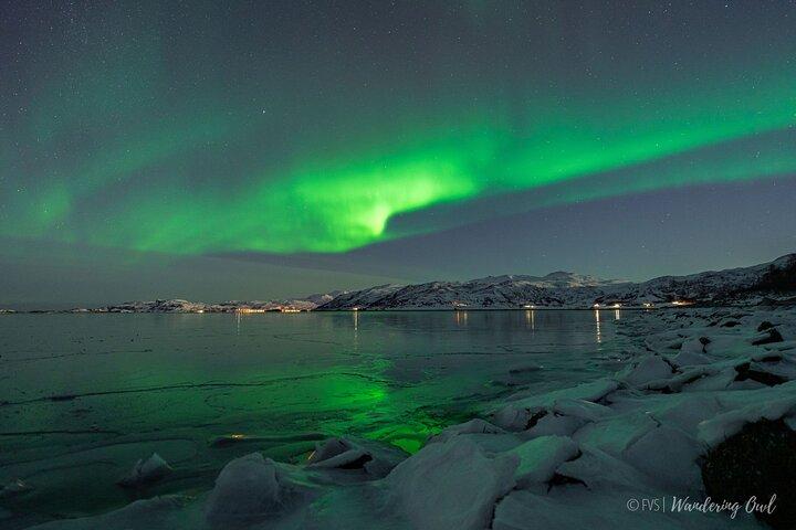 Tromsö: Express Aurora Hunt med vandrande uggla