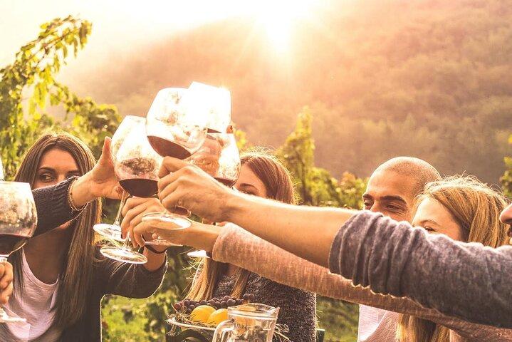 Degustazione di vino in campagna a Ginevra in un castello in e-bike