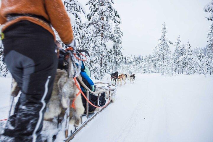 Tour sin conductor de Husky de 5 km en Levi