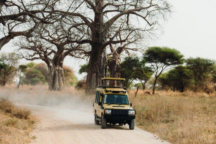Nature's Canvas, safari de 2 días a Tarangire y al cráter Ngorongoro
