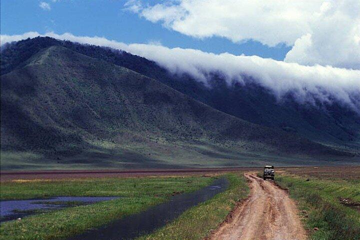 Safari guiado de 5 días por el circuito norte de Tanzania