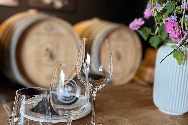 Lisbonne : Visite du vignoble de Carcavelos et dégustation de vins
