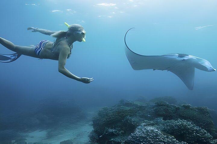 Tutto compreso due giorni e una notte sull'isola di Nusa Penida