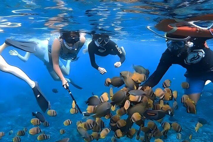 Tutto compreso due giorni e una notte sull'isola di Nusa Penida