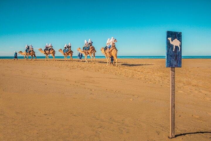 Cabo 2 - Seater Off-Road UTV e Camel Ride com almoço e tequila