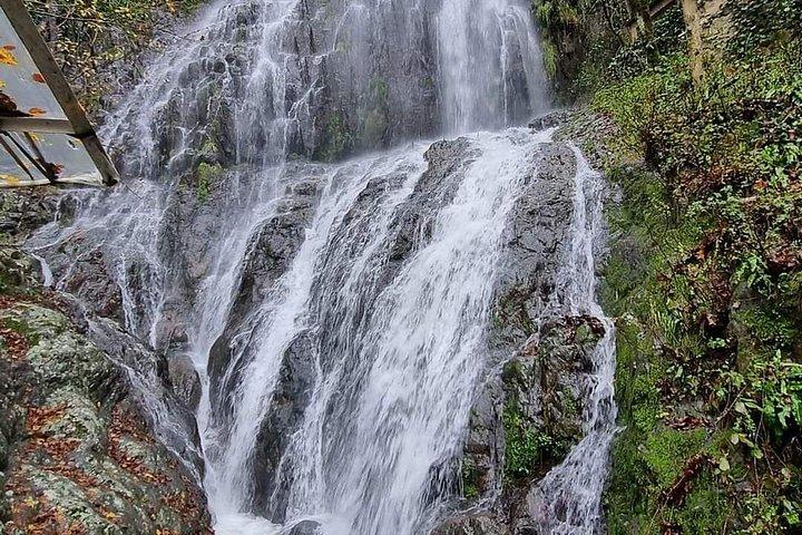 Private Full Day Tour from Batumi to Waterfalls