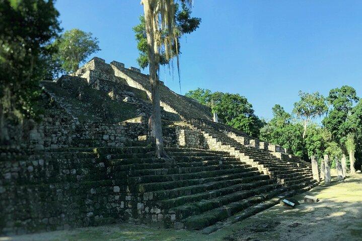 Calakmul, alte Maya-Stadt aus Bacalar oder Chetumal