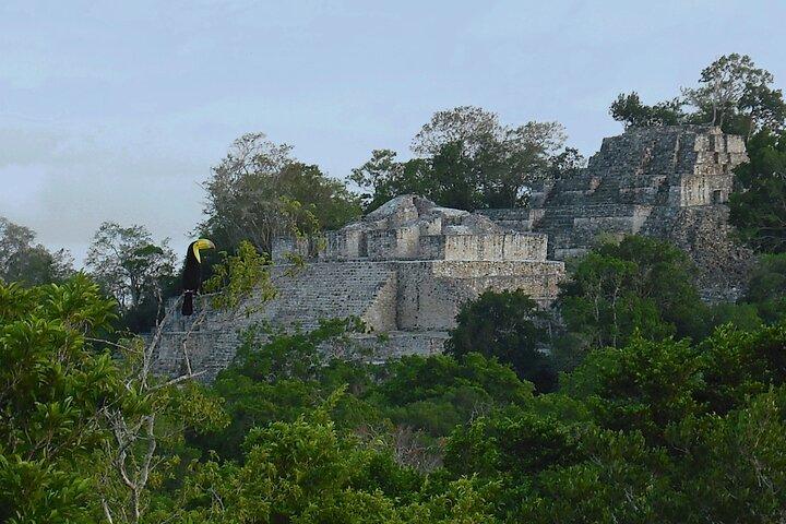 Calakmul, alte Maya-Stadt aus Bacalar oder Chetumal