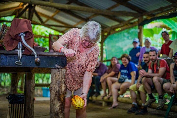 Chocolate Tour & Arenal Hot Springs. Visite privée
