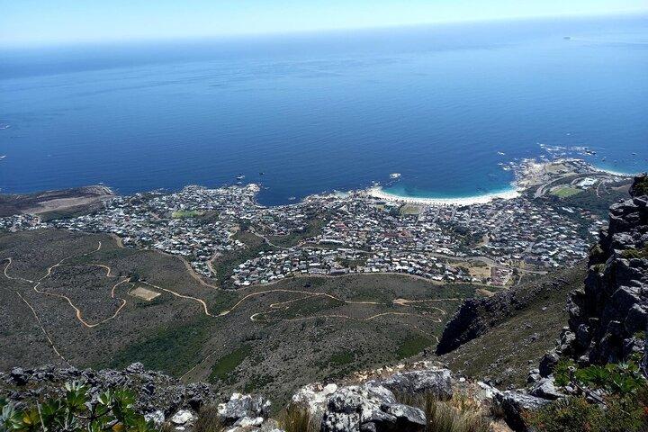 Aventura de senderismo guiada por la montaña de la mesa icónica de Ciudad del Cabo