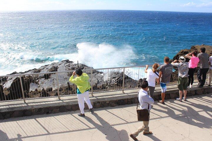 タートルシュノーケリング付きオアフ島少人数サークルアイランドツアー