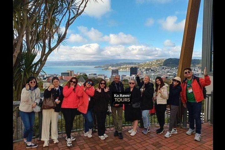 テパパ入場を含む終日ガイド付きウェリントンツアー