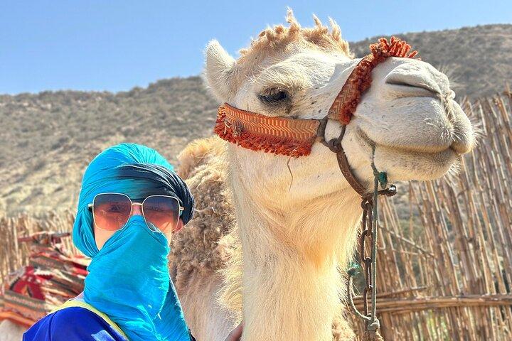 Desde Agadir o Taghazout : Paseo en camello al atardecer con barbacoa & Music Sow
