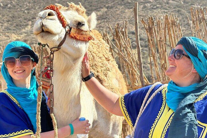 Desde Agadir o Taghazout : Paseo en camello al atardecer con barbacoa & Music Sow