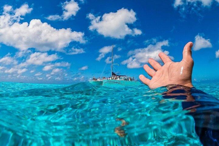 Visite guidée des récifs de Cozumel à El Cielo, Palancar et Columbia