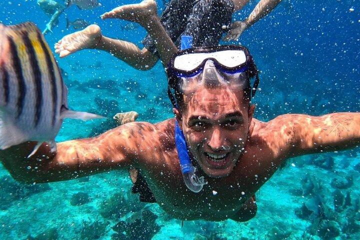 Visite guidée des récifs de Cozumel à El Cielo, Palancar et Columbia