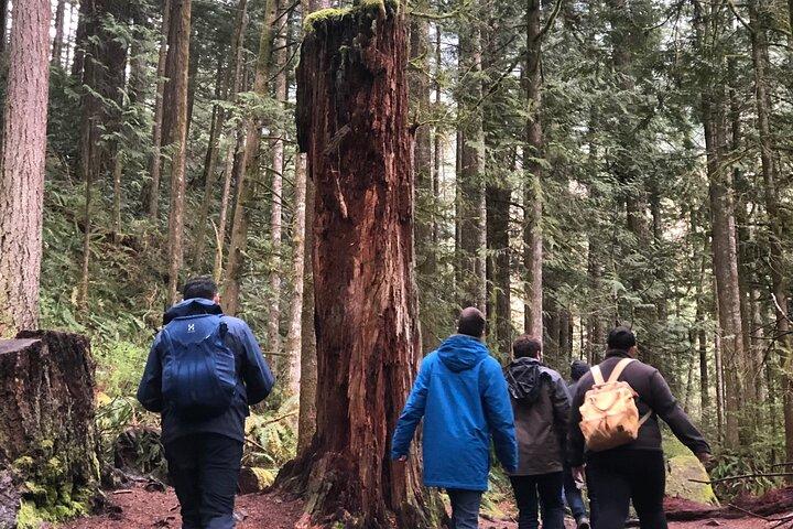 Snoqualmie chute et Twin Falls Hike