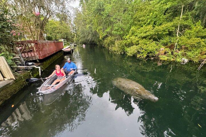 Tramonto e bagliore di Clear Kayak Three Sisters Springs