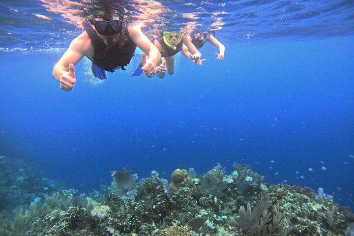 Roatan Reef Snorkel Äventyr