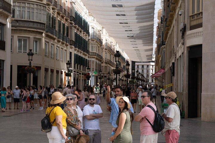 Tour Privado em Málaga, Teatro Romano, Alcazaba com Ingressos Inclusos