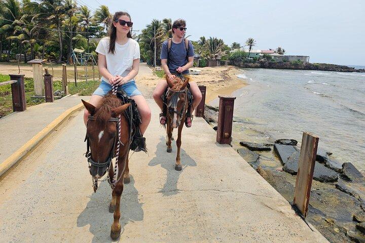 Roatan Horseback och Glass bottenbåt Tour