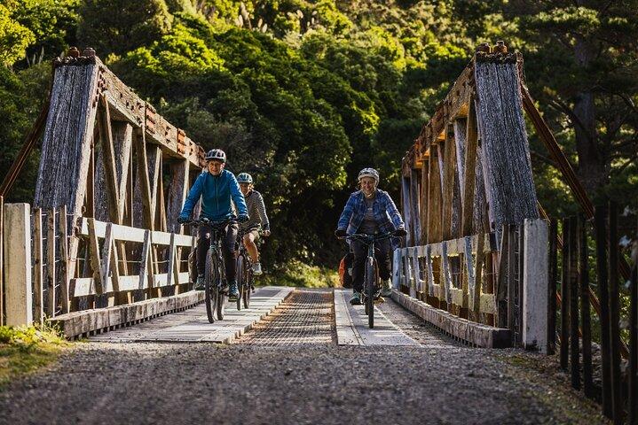 Remutaka Rail Trail - Wellington eBike Cruise Schip Shore Excursie
