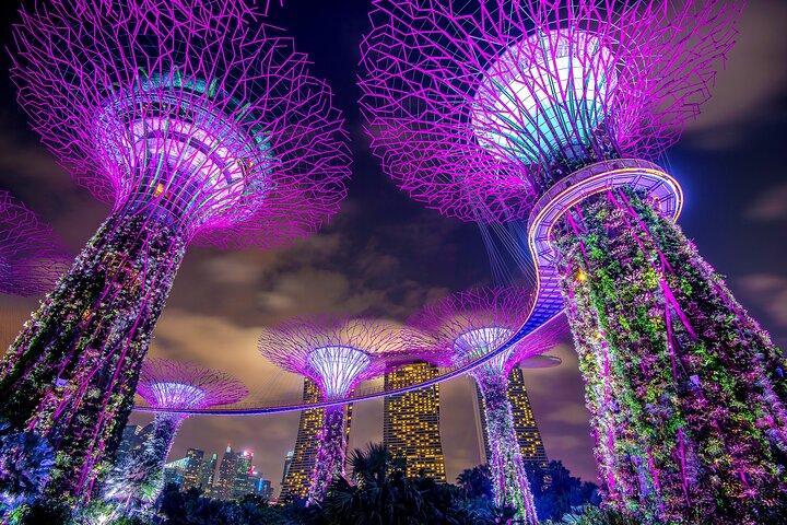 Private Singapore Night City Tour with Driver