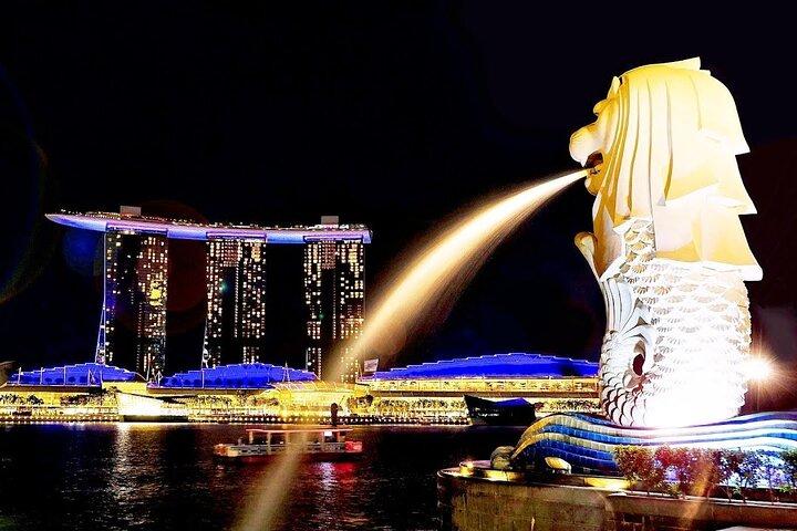 Private Singapore Night City Tour with Driver