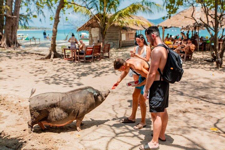 Koh Tan och Pig Island halvdagstur med Speed Catamaran
