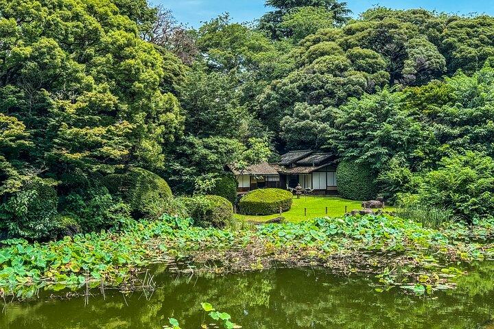 Museu Nacional de Tóquio e visita guiada privada ao Parque Ueno