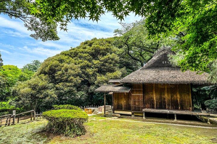 Museu Nacional de Tóquio e visita guiada privada ao Parque Ueno