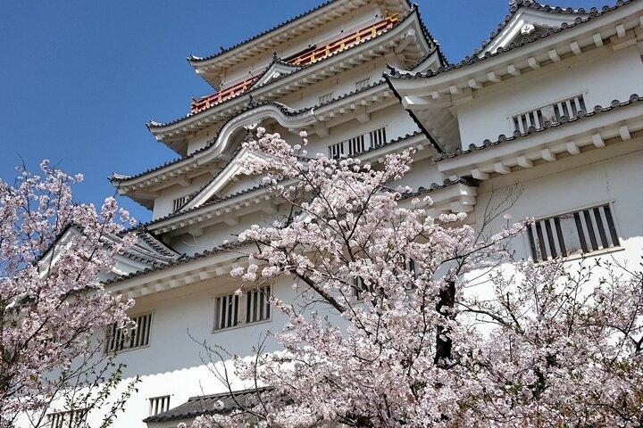 英語ガイド付き広島豪華プライベートツアー