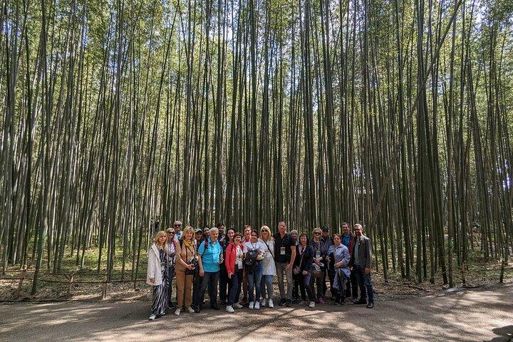 Privat vandretur i Arashiyama bambusskov med guide