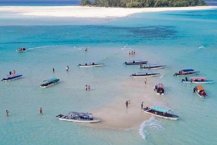 Dolfijnen- & snorkeltour op Mnemba Island – Zanzibar Adventure